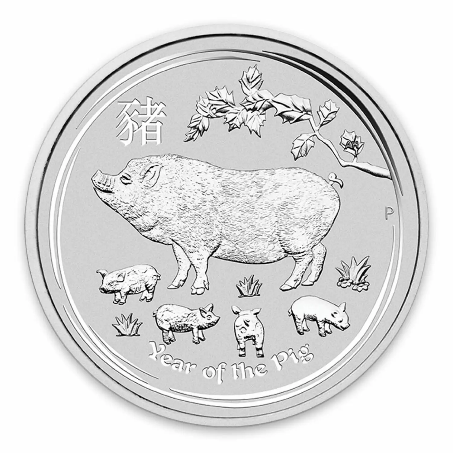2019 10oz Australian Perth Mint Silver Lunar: Year of the Pig (2)