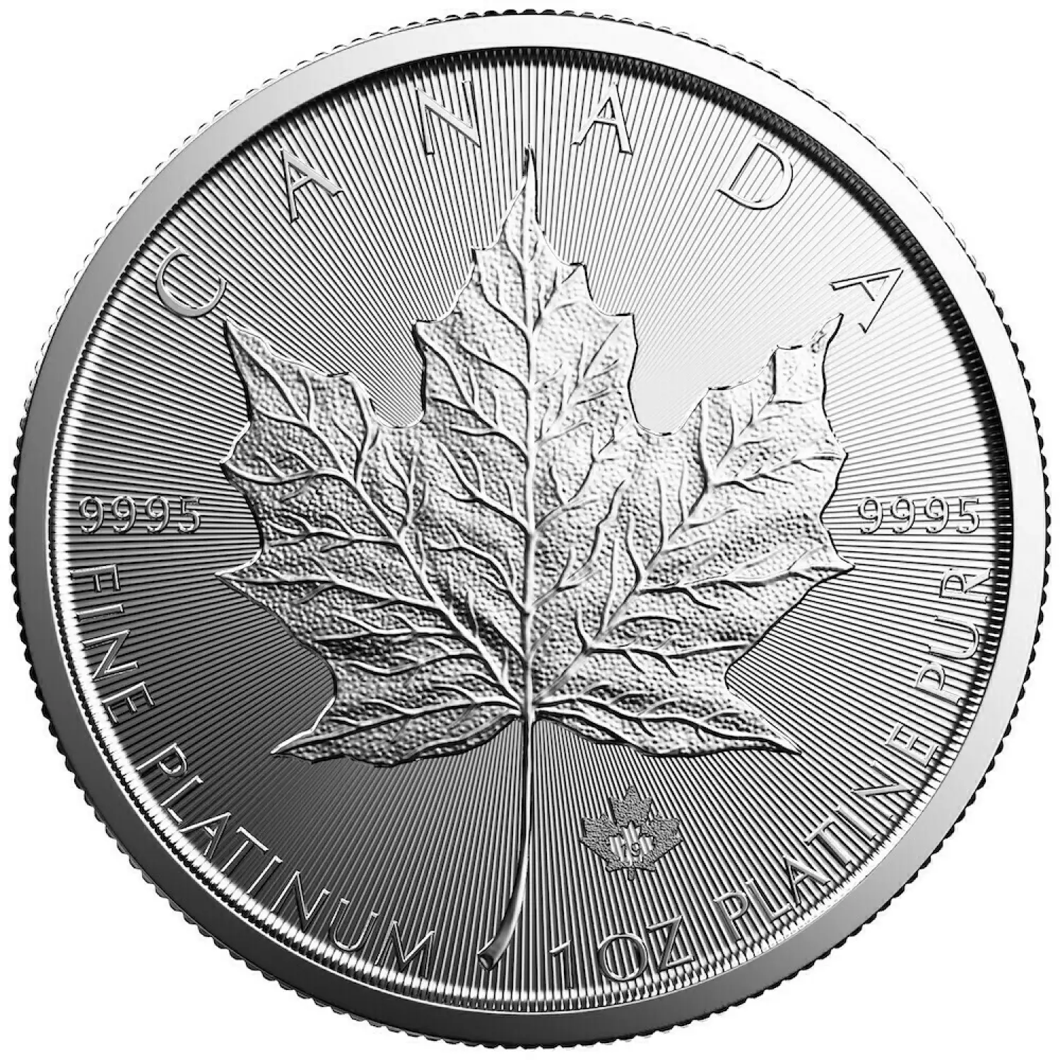 2019 1oz Canadian Platinum Maple Leaf