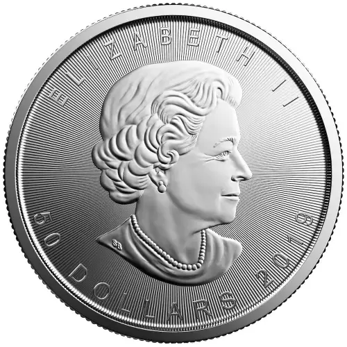 2019 1oz Canadian Platinum Maple Leaf (2)