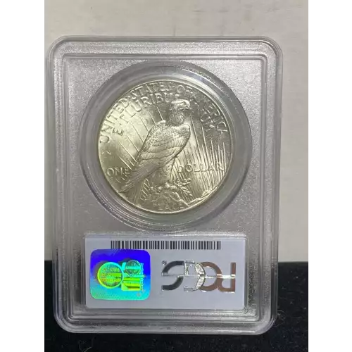 Peace Silver Dollar