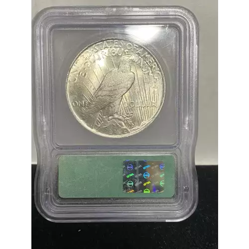 Peace Silver Dollar